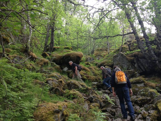 Wanderung zu den Wasserfällen bei Kinsarvik