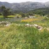 Kreta, April 2019